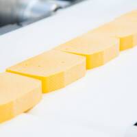 Молочные изделия - Животноводство