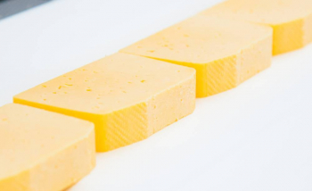 Молочные изделия - Животноводство